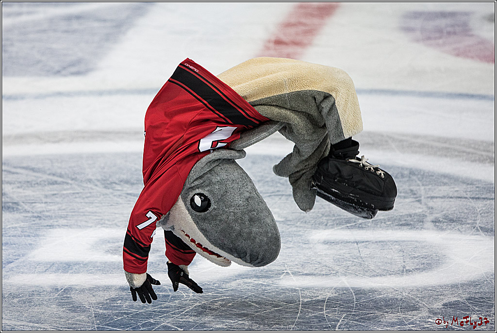 DEL, Koelner Haie - Eisbaeren Berlin, 12.02.2017